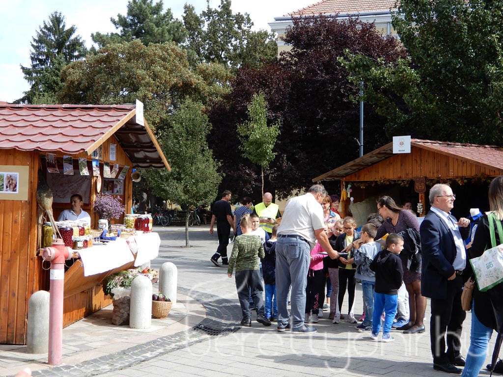 Helyi Értékek Startja 108